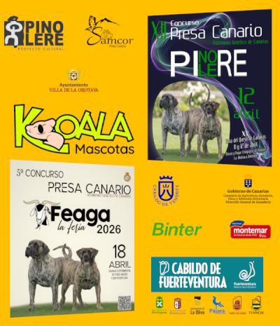 Patrocinadores y Colaboradores